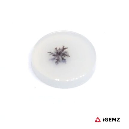2.27 ct Brown Dendritic Agate - iGemz24486 gemstone for sale at igemz.co.za