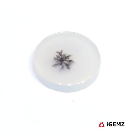 2.27 ct Brown Dendritic Agate - iGemz24486 gemstone for sale at igemz.co.za