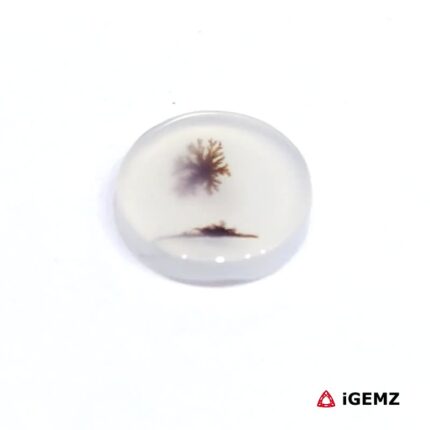 1.92 ct Brown Dendritic Agate - iGemz24487 gemstone for sale at igemz.co.za