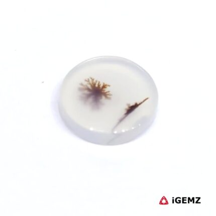 1.92 ct Brown Dendritic Agate - iGemz24487 gemstone for sale at igemz.co.za