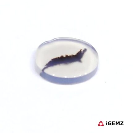 1.63 ct Brown Dendritic Agate - iGemz24488 gemstone for sale at igemz.co.za