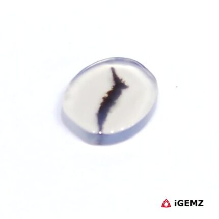 1.63 ct Brown Dendritic Agate - iGemz24488 gemstone for sale at igemz.co.za