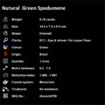 8.18 ct Green Spodumene - iGemz24759 gemstone for sale at igemz.co.za