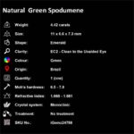 4.42 ct Green Spodumene - iGemz24768 gemstone for sale at igemz.co.za