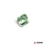 0.37 ct Green Tourmaline - iGemz29254 gemstone for sale at igemz.co.za