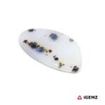 11.68 ct Brown Dendritic Agate - iGemz24456 gemstone for sale at igemz.co.za