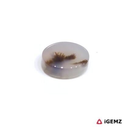 2 ct Brown Dendritic Agate - iGemz24458 gemstone for sale at igemz.co.za