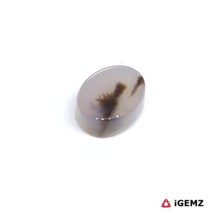 2 ct Brown Dendritic Agate - iGemz24458 gemstone for sale at igemz.co.za