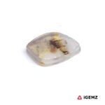 1.58 ct Brown Dendritic Agate - iGemz24468 gemstone for sale at igemz.co.za