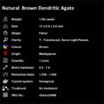 1.58 ct Brown Dendritic Agate - iGemz24468 gemstone for sale at igemz.co.za