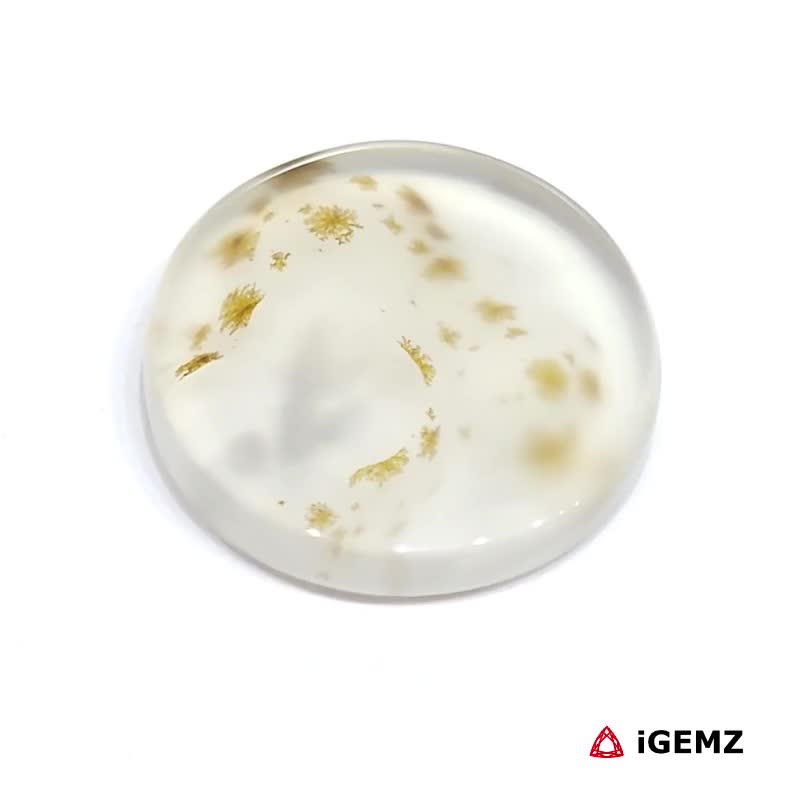 iGemz24469.1 15.52 ct Brown Dendritic Agate - iGemz24469 gemstone for sale at igemz.co.za