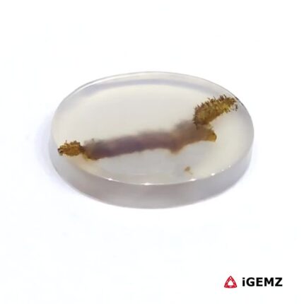 3.71 ct Brown Dendritic Agate - iGemz24471 gemstone for sale at igemz.co.za
