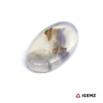 4.53 ct Brown Dendritic Agate - iGemz24483 gemstone for sale at igemz.co.za
