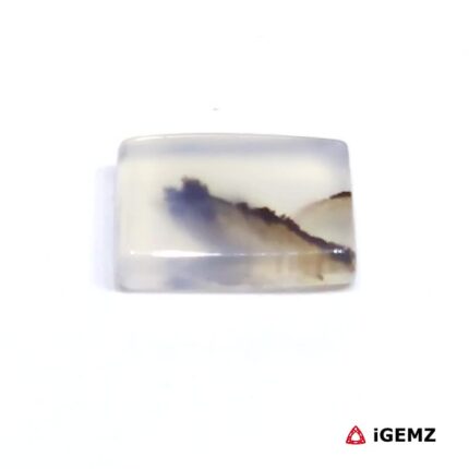 2.68 ct Brown Dendritic Agate - iGemz24485 gemstone for sale at igemz.co.za
