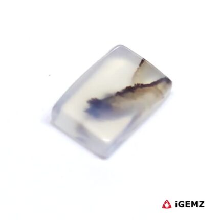 2.68 ct Brown Dendritic Agate - iGemz24485 gemstone for sale at igemz.co.za