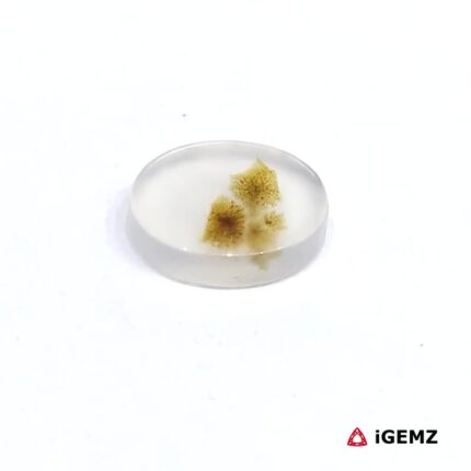 1.44 ct Brown Dendritic Agate - iGemz24489 gemstone for sale at igemz.co.za