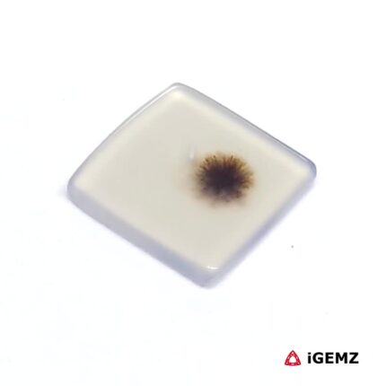 2.15 ct Brown Dendritic Agate - iGemz24490 gemstone for sale at igemz.co.za