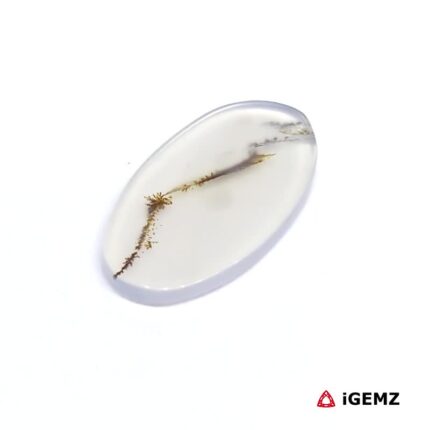 3.91 ct Brown Dendritic Agate - iGemz24495 gemstone for sale at igemz.co.za