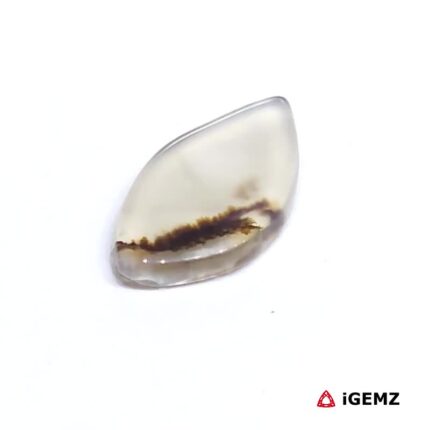 1.76 ct Brown Dendritic Agate - iGemz24496 gemstone for sale at igemz.co.za