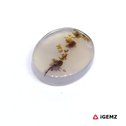 2.88 ct Brown Dendritic Agate - iGemz24498 gemstone for sale at igemz.co.za