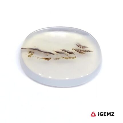 4.43 ct Brown Dendritic Agate - iGemz24499 gemstone for sale at igemz.co.za