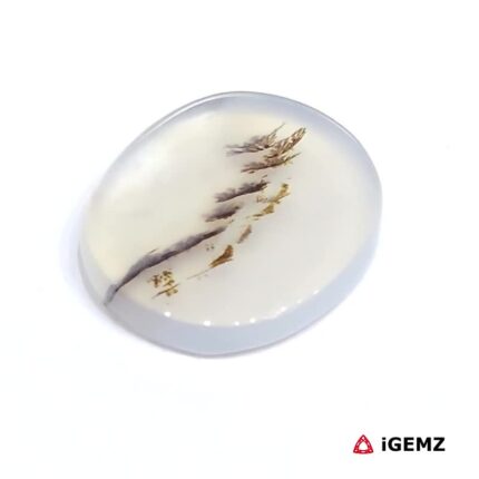 4.43 ct Brown Dendritic Agate - iGemz24499 gemstone for sale at igemz.co.za