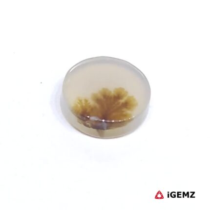 2.17 ct Brown Dendritic Agate - iGemz24500 gemstone for sale at igemz.co.za