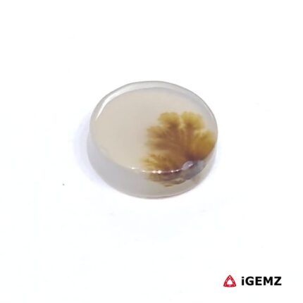 2.17 ct Brown Dendritic Agate - iGemz24500 gemstone for sale at igemz.co.za