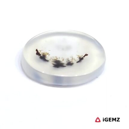 6.24 ct Black Dendritic Agate - iGemz24501 gemstone for sale at igemz.co.za