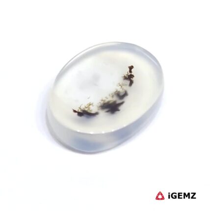 6.24 ct Black Dendritic Agate - iGemz24501 gemstone for sale at igemz.co.za