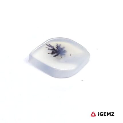 1.55 ct Black Dendritic Agate - iGemz24508 gemstone for sale at igemz.co.za