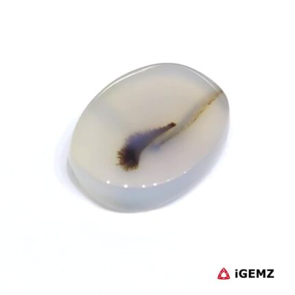 5.32 ct Brown Dendritic Agate - iGemz24512 gemstone for sale at igemz.co.za