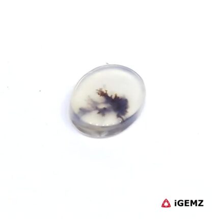 1.1 ct Brown Dendritic Agate - iGemz24515 gemstone for sale at igemz.co.za