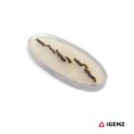 8.55 ct Brown Dendritic Agate - iGemz24534 gemstone for sale at igemz.co.za