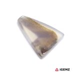 4.7 ct Brown Dendritic Agate - iGemz24541 gemstone for sale at igemz.co.za