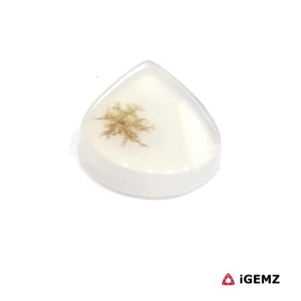 2.13 ct Brown Dendritic Agate - iGemz24546 gemstone for sale at igemz.co.za