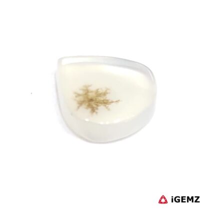 2.13 ct Brown Dendritic Agate - iGemz24546 gemstone for sale at igemz.co.za