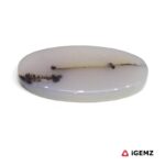 13.14 ct Brown Dendritic Agate - iGemz24549 gemstone for sale at igemz.co.za