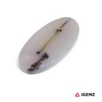 13.14 ct Brown Dendritic Agate - iGemz24549 gemstone for sale at igemz.co.za