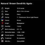 13.14 ct Brown Dendritic Agate - iGemz24549 gemstone for sale at igemz.co.za