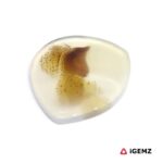 16.8 ct Brown Dendritic Agate - iGemz24567 gemstone for sale at igemz.co.za