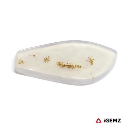 17.6 ct Brown Dendritic Agate - iGemz24571 gemstone for sale at igemz.co.za