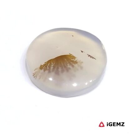 4.78 ct Brown Dendritic Agate - iGemz24572 gemstone for sale at igemz.co.za