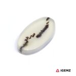 6.74 ct Black Dendritic Agate - iGemz24575 gemstone for sale at igemz.co.za