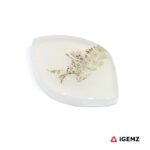 18.55 ct Brown Dendritic Agate - iGemz24576 gemstone for sale at igemz.co.za