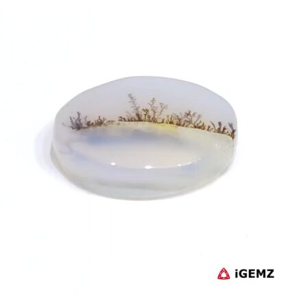 6.16 ct Brown Dendritic Agate - iGemz24577 gemstone for sale at igemz.co.za