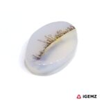 6.16 ct Brown Dendritic Agate - iGemz24577 gemstone for sale at igemz.co.za