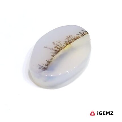 6.16 ct Brown Dendritic Agate - iGemz24577 gemstone for sale at igemz.co.za