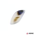 7.5 ct Brown Dendritic Agate - iGemz24598 gemstone for sale at igemz.co.za