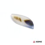 7.5 ct Brown Dendritic Agate - iGemz24598 gemstone for sale at igemz.co.za